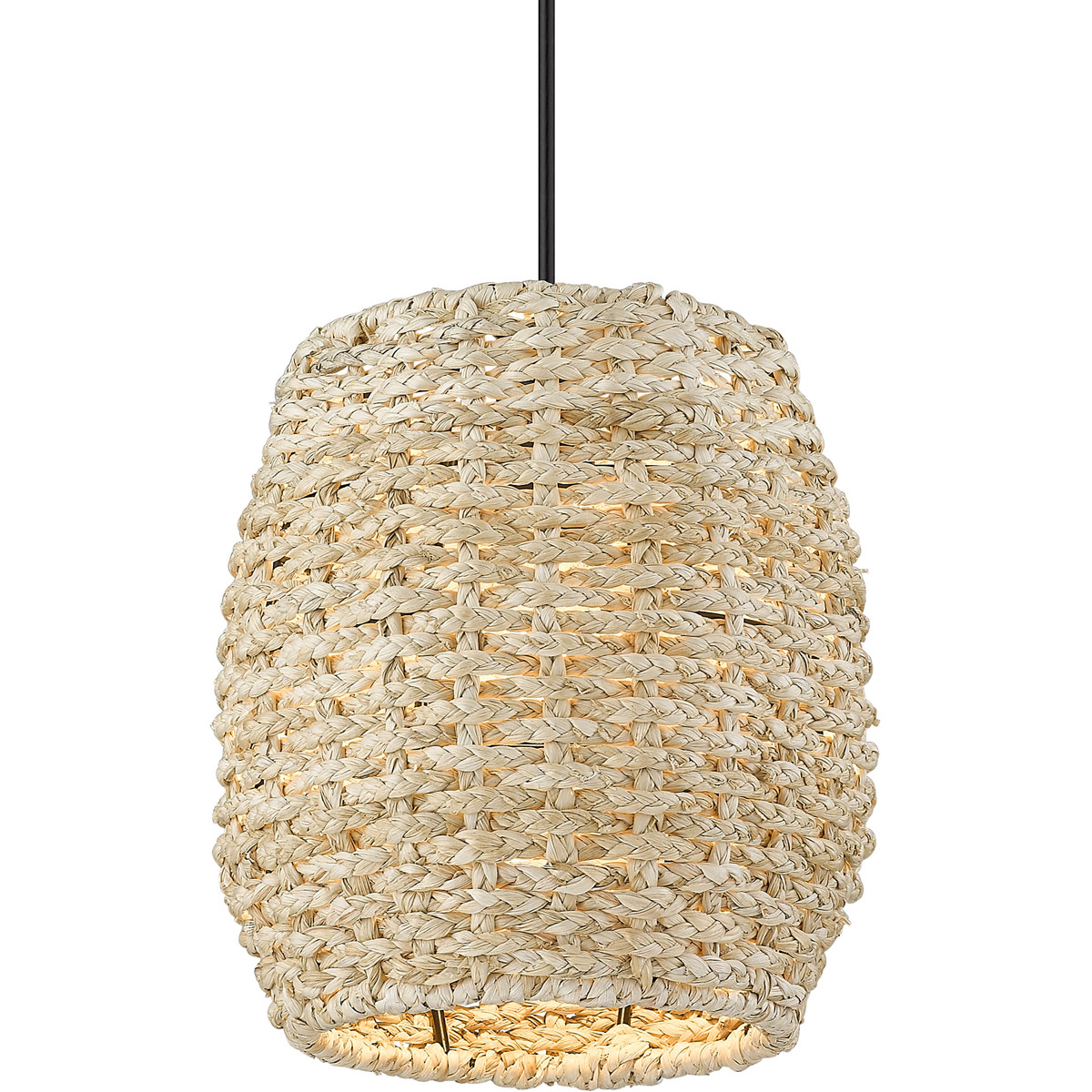 Cheyanne 1 Light 10 inch Matte Black Mini Pendant Ceiling Light